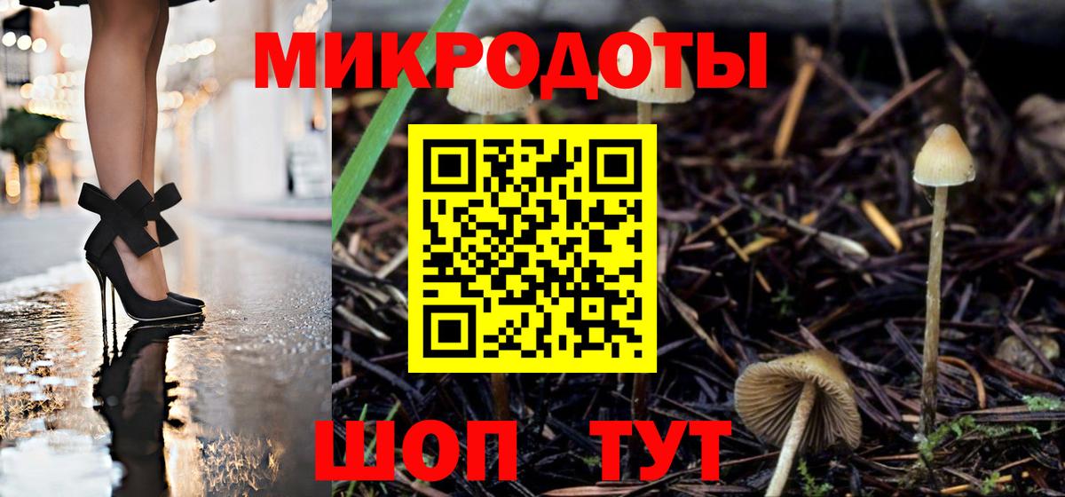 Галлюциногенные грибы Cubensis Люберцы