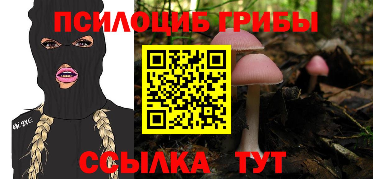 Псилоцибиновые грибы мухоморы  купить наркоту  Люберцы  Вход с VPN 
